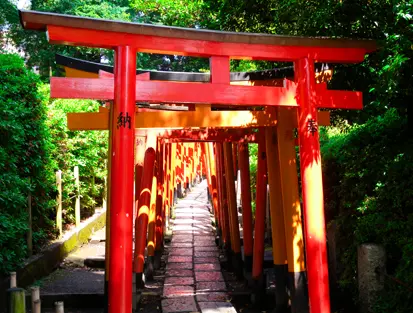 奥まで並んでいる赤い鳥居