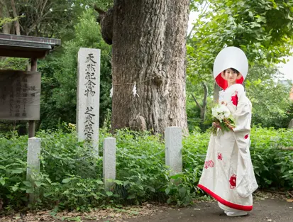 芝東照宮のイチョウの前に立つ白無垢の花嫁